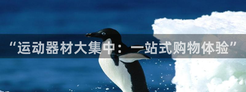 凯捷体育集团E.ON:“运动器材大集中:一站式购物体验”