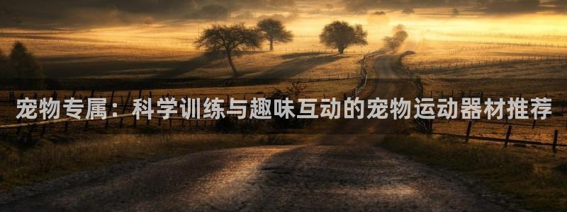 意昂平台体育:宠物专属:科学训练与趣味互动的宠物运动器材推荐