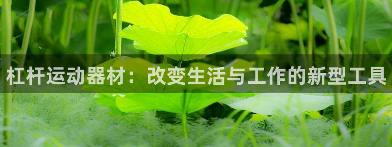 凯捷体育官方客服电话:杠杆运动器材:改变生活与工作的新型工具