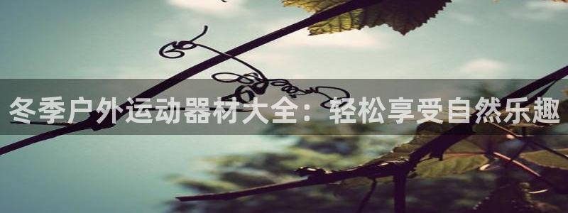 凯捷体育软件:冬季户外运动器材大全:轻松享受自然乐趣